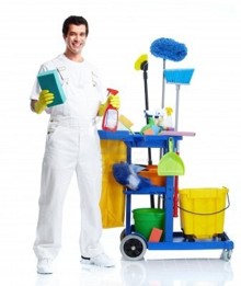 Limpiador profesional