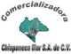 Logo Distribuidora Comercializadora Chiapaneca del Mar