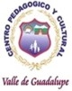 Logo Colegio Villa de Guadalupe